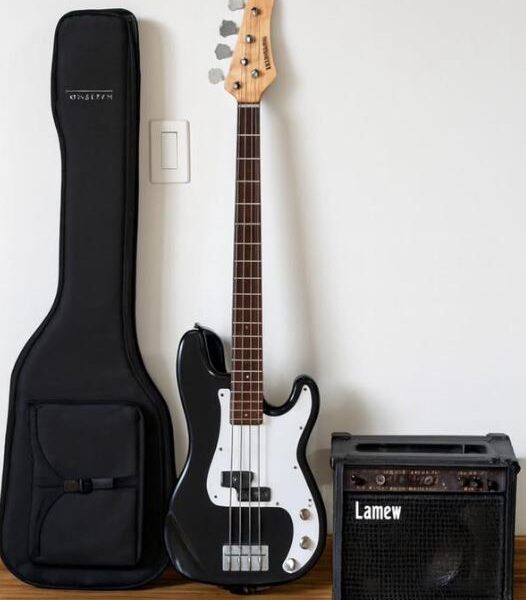 Bajo con Amplificador LANEY